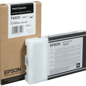 Epson C13T603100, Mustepatruuna Photo Black T603100 220 ml