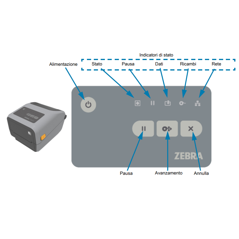 Zebra ZD6A142-30ELR2EZ - ZD6A142-30ELR2EZ, Teollisuustarratulostin, Termosiirto/ Suora lämpötulostus, 300 DPI, 152 mm/s, Langallinen Ethernet LAN - Image 4
