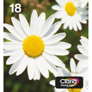 Ink/T1806 EasyMail Daisy CMYK