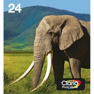 Ink/24 Elephant CLcMLmYK