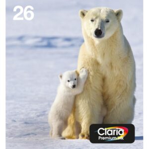 Ink/26 Polar Bear CMYK