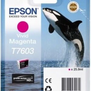 EPSON C13T76034N10, T7603 ink cartridge vivid magenta, high capacity 25 9ml 1356 pages 1-pack