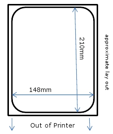 Primera Technology L36M148210HIS, DTM PAPER MATTE 148 X 210 mm. 300 LABELS PER ROLL 3IN/6IN