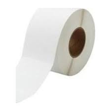 ESEN OZ2938102CT – 102 mm × 29 m mattapintainen PP-synteettinen jatkuva etikettirulla Epson ColorWorks C3500/C4000e